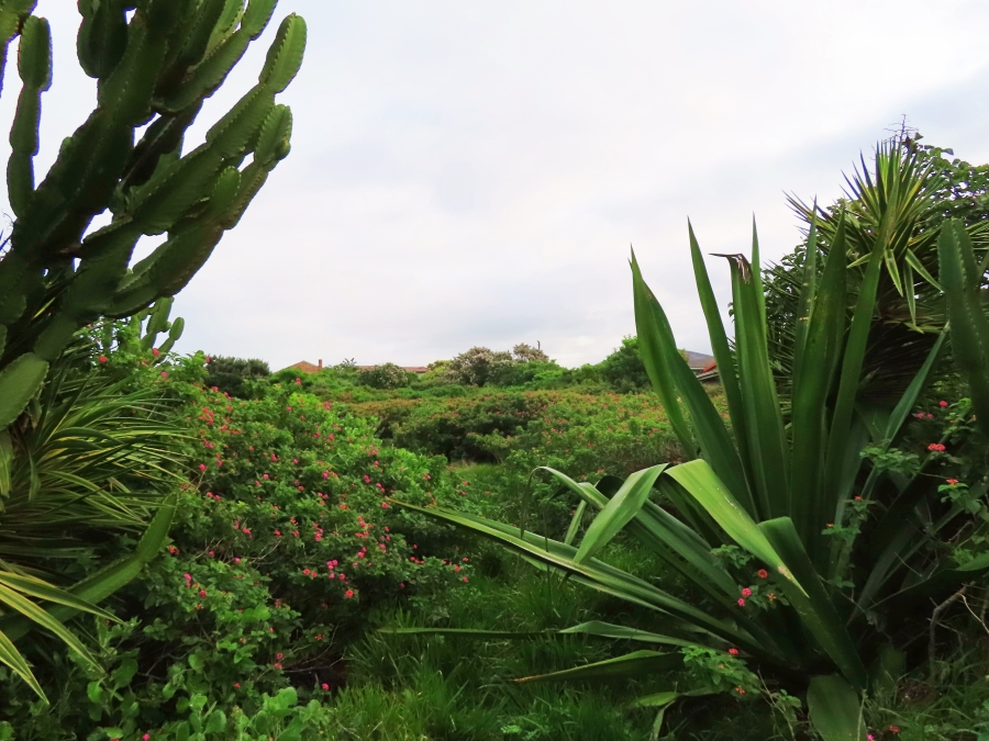 0 Bedroom Property for Sale in Forest Downs Eastern Cape